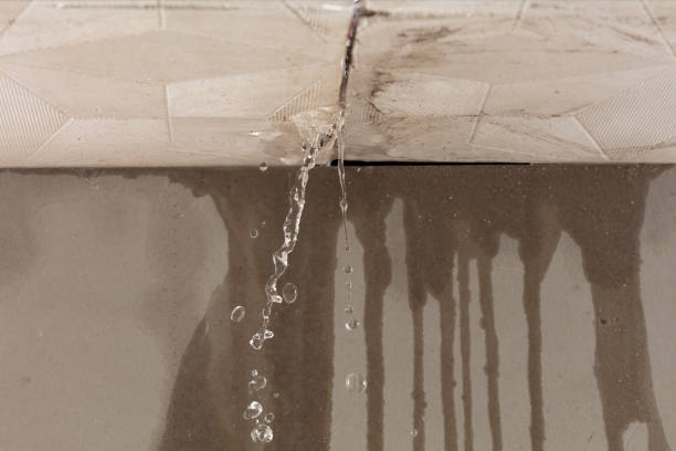 Professional Burst Pipe Cleanup technician working in Willshire, OH
